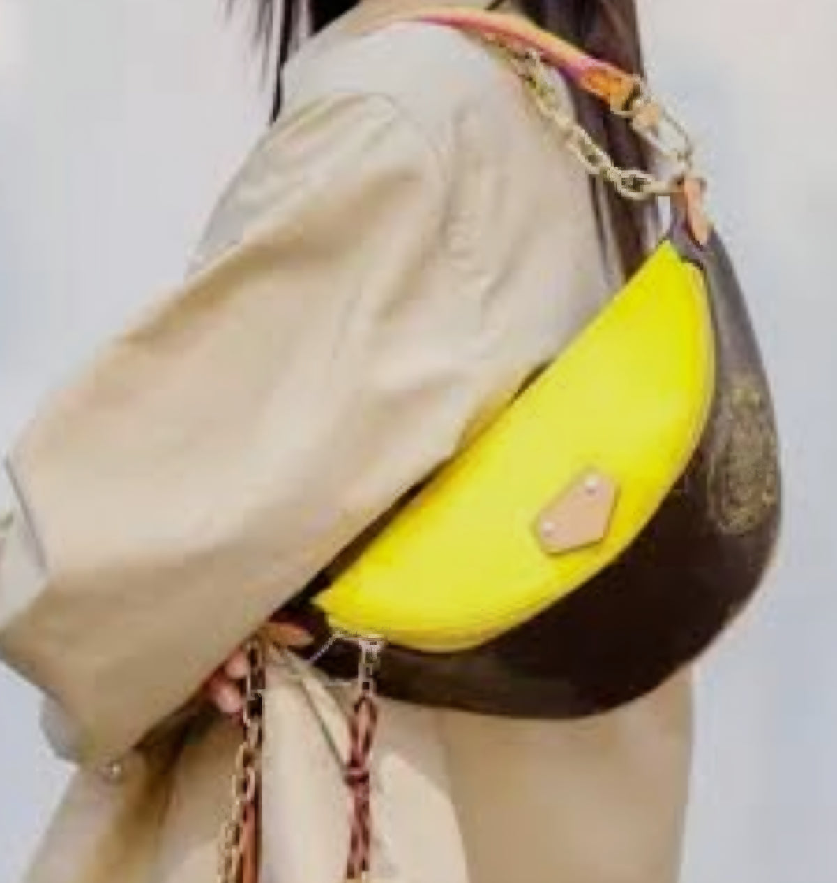 LV Bumbag
